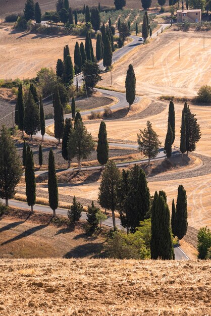 Route avec des cyprès en Toscane au coucher du soleil paysage toscan typique