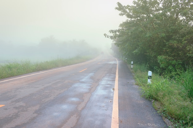 Route dans la brume