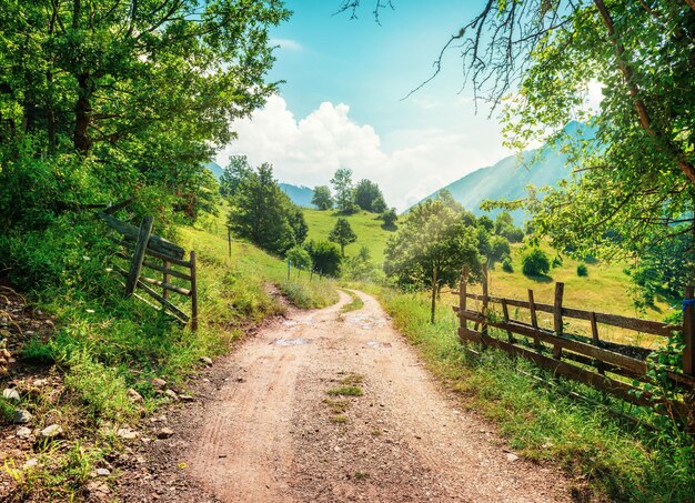 Route dans un canyon