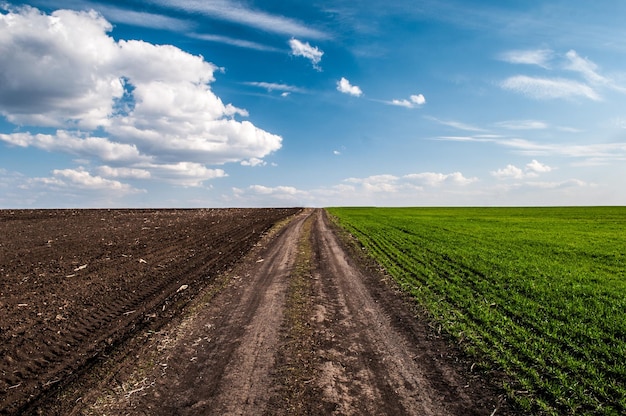 Route dans le champ avec un ciel nuageux