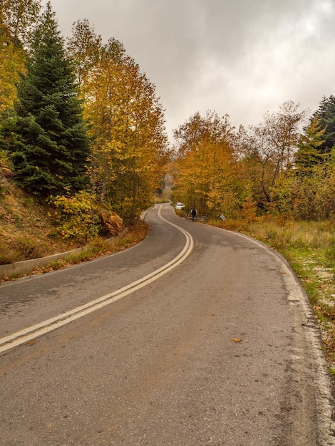 Route dans la forêt d'automne avec des arbres au feuillage jaune et des nuages sur l'île d'Evia Grèce