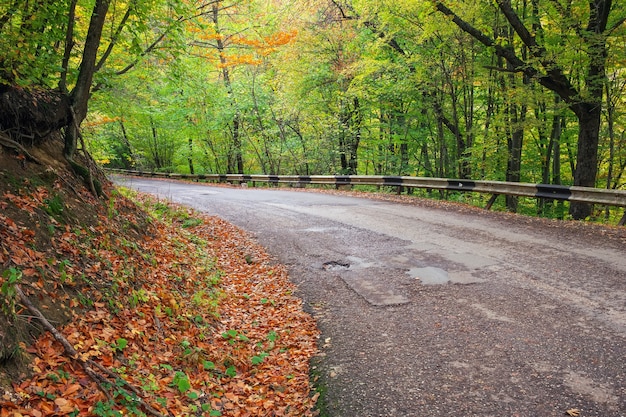 Route dans la forêt d'automne colorée. Composition de la nature