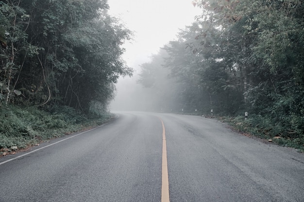 La route dans une forêt recouverte de brouillard, style vintage feuille verte.