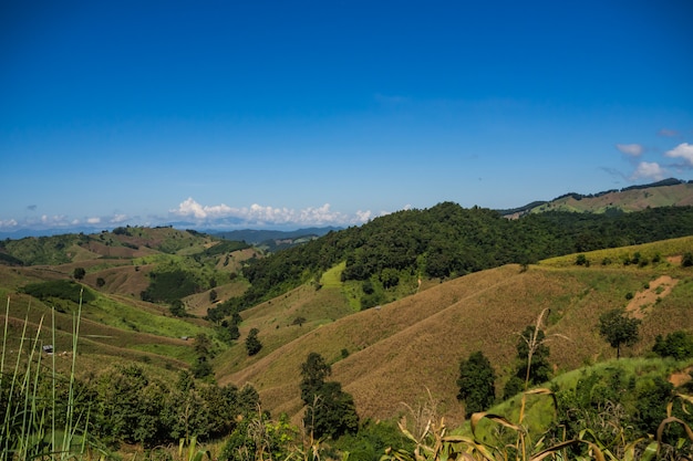 La route dans la montagne