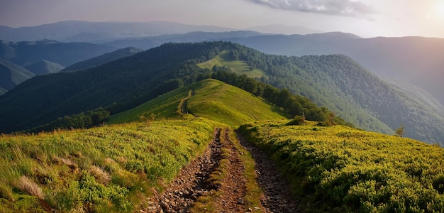 La route dans les montagnes des Carpates Panorama