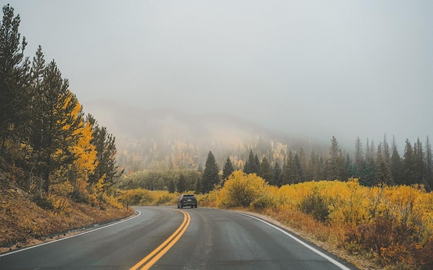 route dans les montagnes