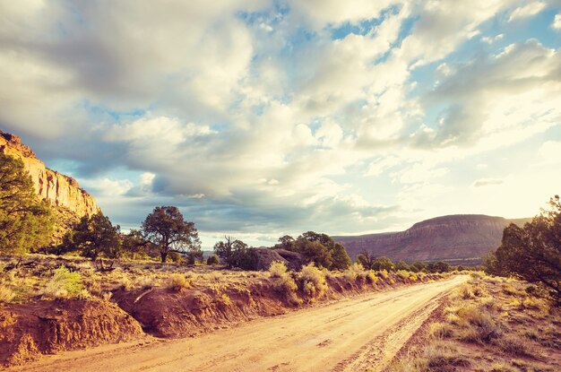 Route dans le pays des prairies.