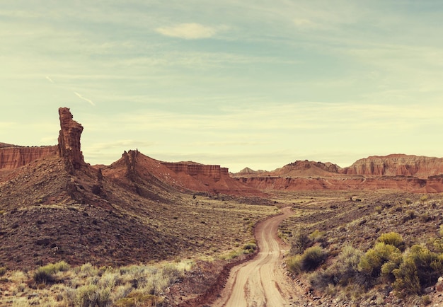 Route dans le pays des prairies