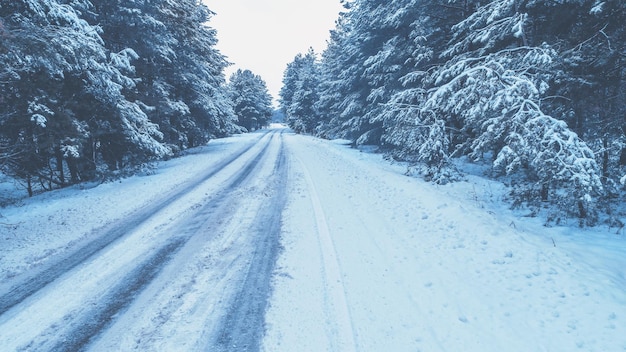 Route dans une pinède enneigée en hiver Vue d'en haut