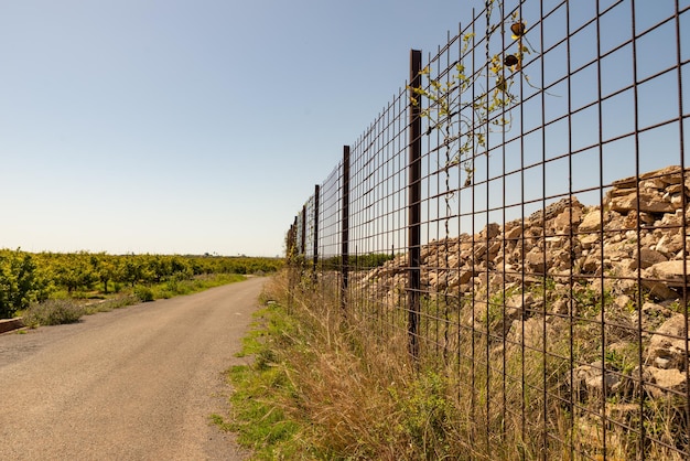 Route dans les vergers d'orangers avec une grille rouillée et un tas de pierres