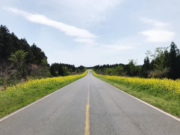 La route du printemps