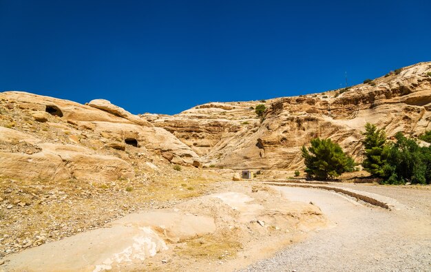 La route du Siq à Petra - Jordanie