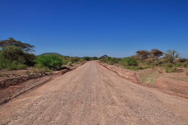 Route du village des Bushmen, Afrique