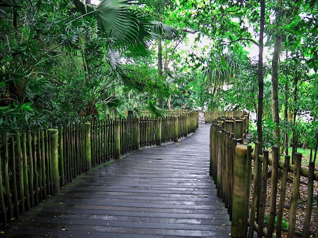 La route du zoo de Singapour