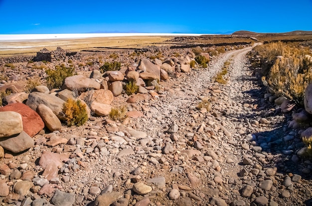 Route éloignée vers Salar de Uyuni