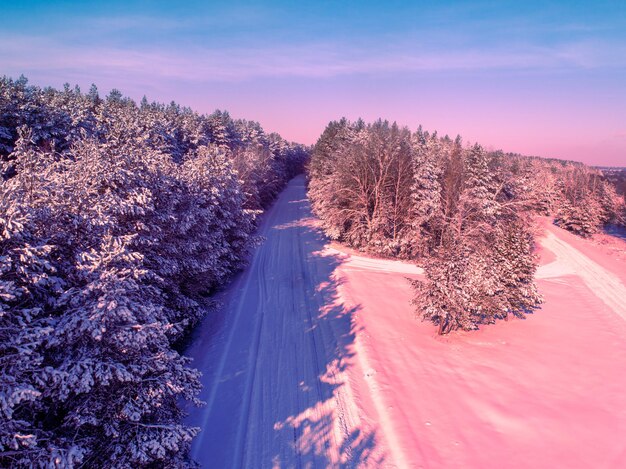 Route enneigée dans une pinède