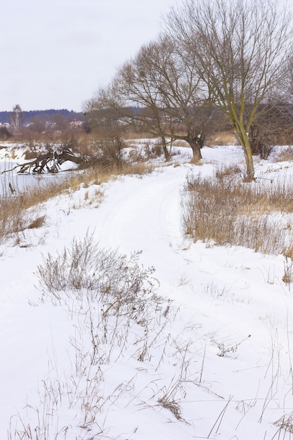 Route enneigée le long de la rivière. Des arbres