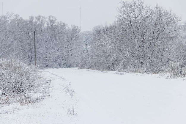 Route enneigée pendant les chutes de neige. Paysage rural d'hiver