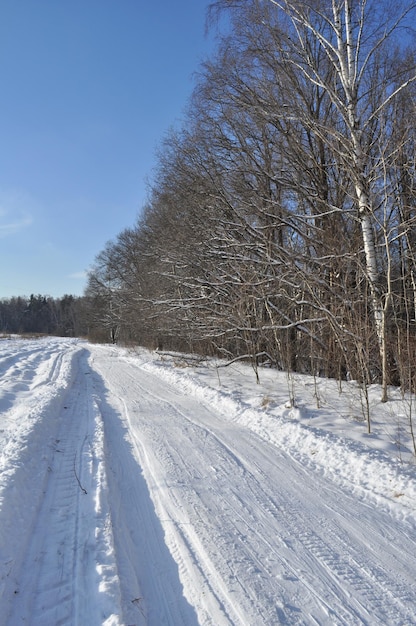 Route enneigée