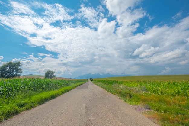 Route entre les champs vers les montagnes