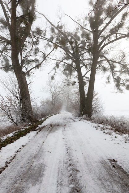 La route est couverte de neige en hiver