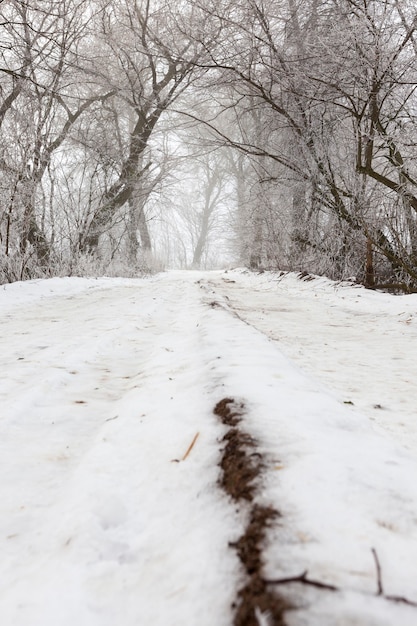 La Route Est Couverte De Neige En Hiver