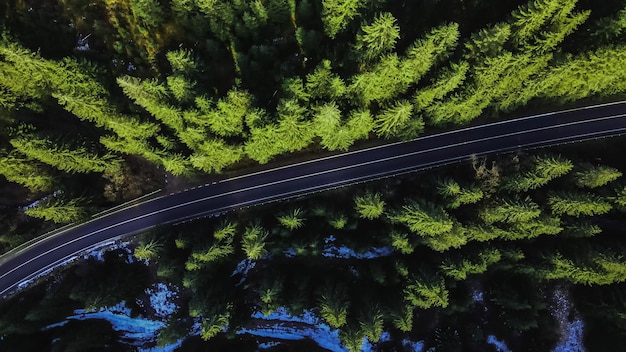 La route est située entre les arbres de la forêt de montagne Vue aérienne