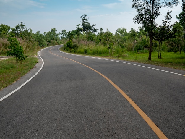 La route à l&#39;état sauvage