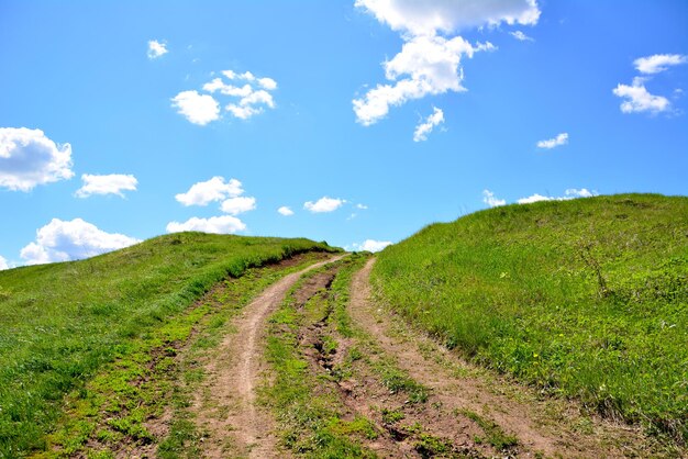 route d'été de campagne qui monte vers le ciel bleu avec des nuages blancs