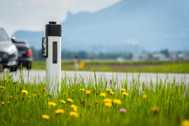 Route en été réflecteur post voitures fleurs et herbe verte