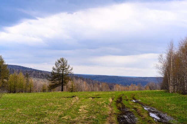 Route forestière du sud de l'Oural avec une végétation paysagère unique et une diversité de la nature