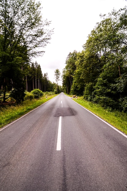 Route forestière européenne asphaltée à Westfalia Allemagne