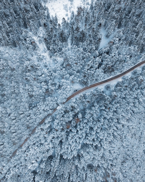 Route forestière en hiver par le haut