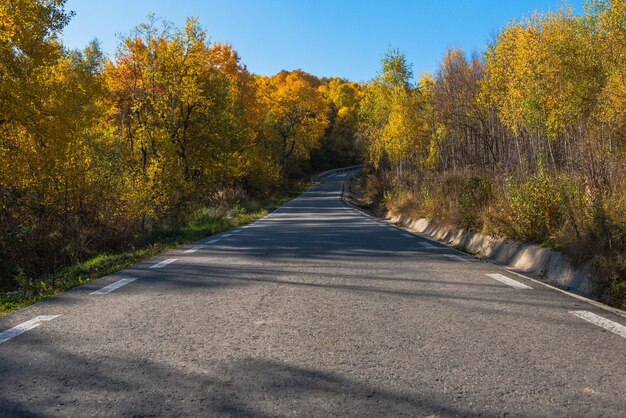 La route de la forêt à l'automne