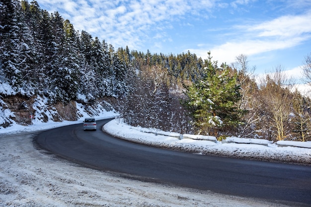 Route en forêt dans les montagnes du Caucase. neige d'hiver et pins