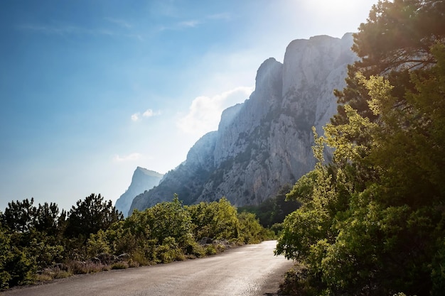 Route goudronnée dans les montagnes beau soleil vacances d'été