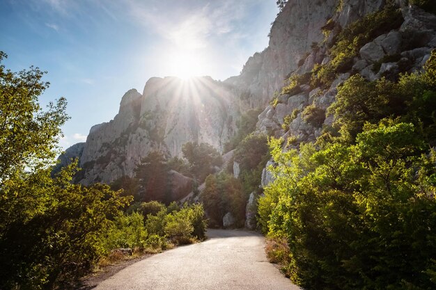 Route goudronnée dans les montagnes beau soleil vacances d'été