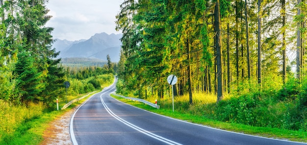 Route goudronnée dans les montagnes. La beauté du monde