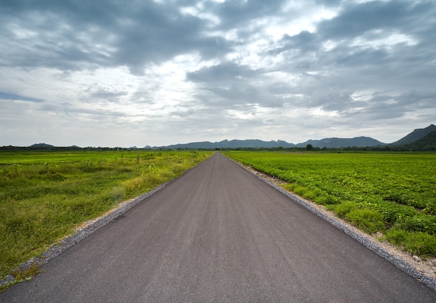 route goudronnée entre champ en journée nuageuse, campagne à Lopburi, Thaïlande