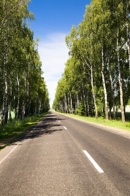 Route goudronnée en été