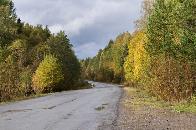 Une route goudronnée serpente à travers une forêt colorée d'automne