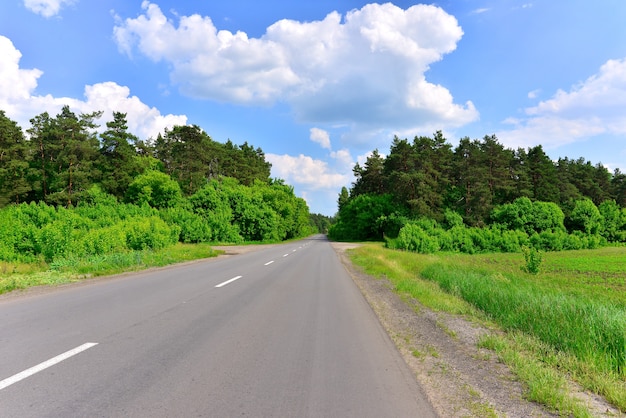 Route goudronnée vide avec un beau paysage autour des champs, des arbres et des pins. Ciel bleu et nuages par une chaude journée d'été