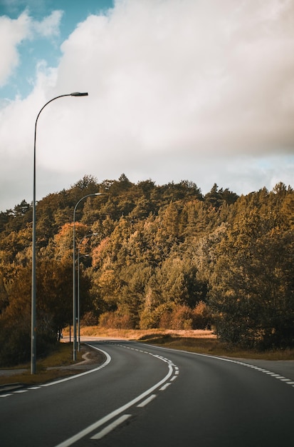 Route goudronnée vide dans le parc d'automne