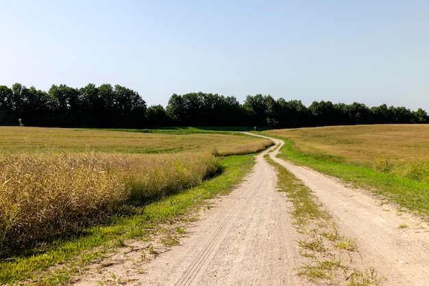 Route de gravier dans les zones rurales