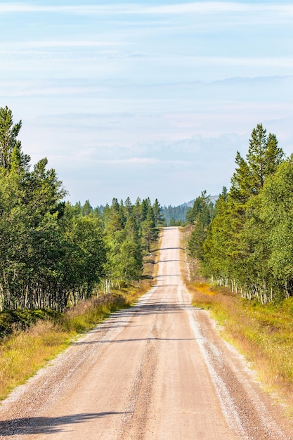 Photo une route de gravier droite dans une forêt