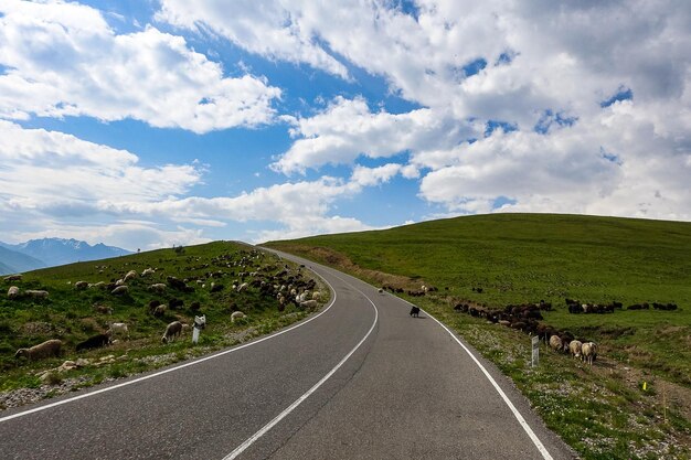 La route de haute montagne vers le tractus de JilySu Caucase KabardinoBalkaria Russie