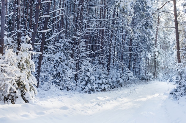 Route d'hiver en bois avec neige et soleil