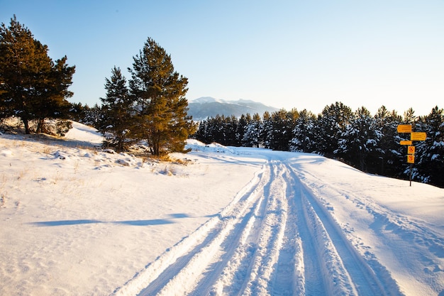 Route d'hiver dans la forêt enneigée.