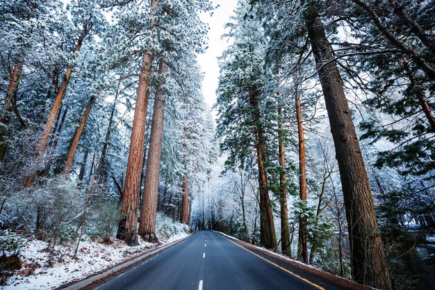 Route D'hiver Dans La Ville