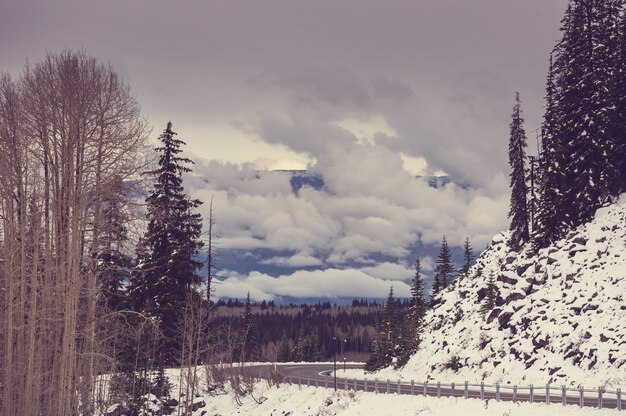 Route d'hiver dans la ville